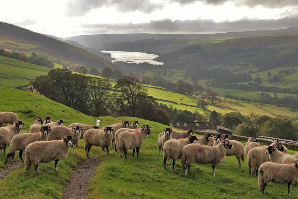Wensleydale Halls ليبرن المظهر الخارجي الصورة